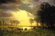 The_Buffalo_Trail Bierstadt